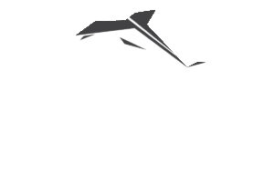 delfinomobility